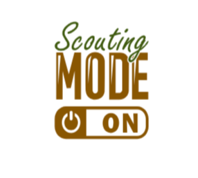 Scouting Mode